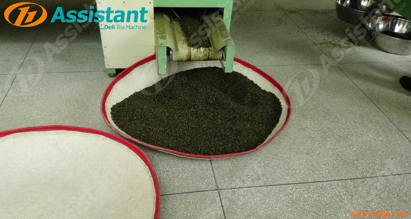 Chain Plate Continuous Belt Type Tea Leaf Dryer Machine Manufacturer 6CHL-CY