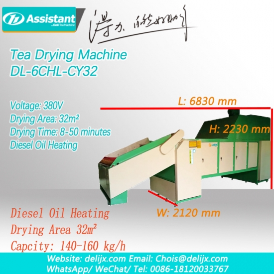 placa de cadena tipo de cinturón de hojas de té negro máquina de secado continuo de hojas de té dl-6chl-cy