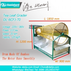 Clasificadora de hojas de té frescas niveladora dl-6cfj-70