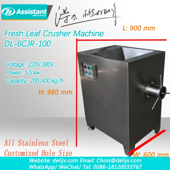 máquina trituradora de trituradora de hojas de té ivan