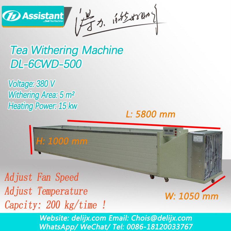 cómo instalar té máquina de marchitar té con los pasos del proceso de construcción dl-6cwd-500