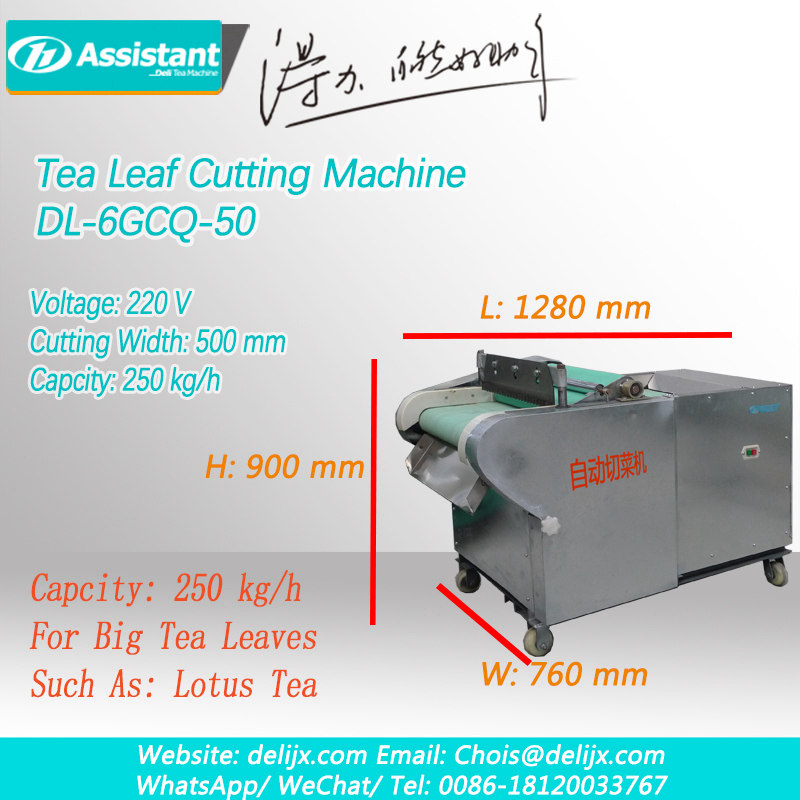 máquina de corte de hojas de té verde trituradora de hojas de té máquina de corte de hojas de loto dl-6gcq-50